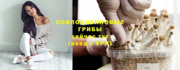 таблы Лиски