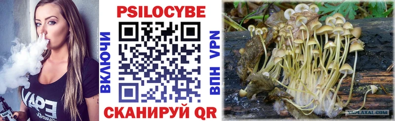 Псилоцибиновые грибы Magic Shrooms  Духовщина 
